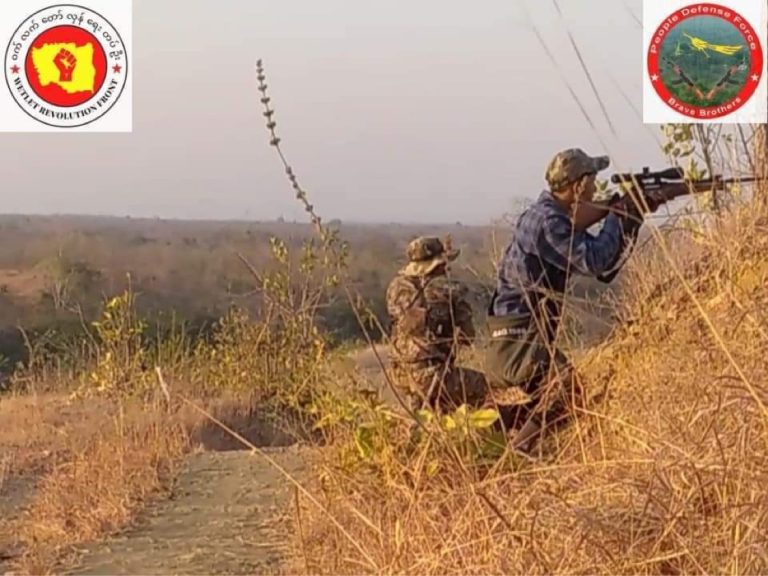 ရွှေဘိုတွင် စနိုက်ပါထိမှန်ပြီး ပျူစောထီး တစ်ဦး သေဆုံး