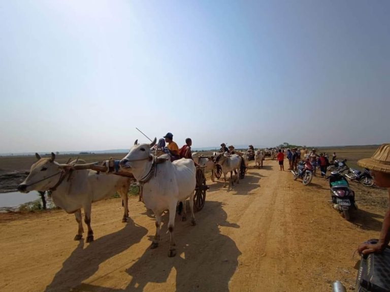 စစ်ဘေးရှောင်နေရာများထိပါ လိုက်လံဖမ်းဆီးမှုကြောင့် ပဒူကျေးရွာ ပြည်သူကိုးဦး ဖမ်းဆီးခံရ