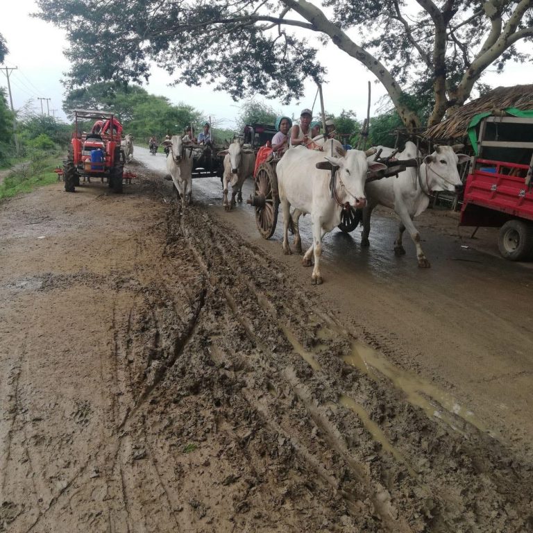 ပုလဲစစ်ကြောင်း ဒေသခံ၄၀ခန့်ကို ဓားစာခံအဖြစ်ဖမ်းဆီးထား