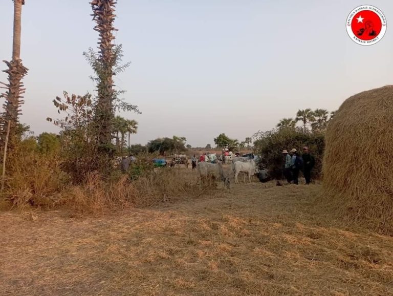 မိုးတွင်းကာလ မြွေအန္တရာယ် စိုးရိမ်နေသည့် စစ်ဘေးရှောင်များ