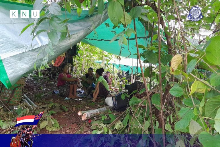 ကျောက်ကြီးမြို့နယ်တွင် စားနပ်ရိက္ခာ သယ်ယူခွင့် ကန့်သတ်ခံထားရ