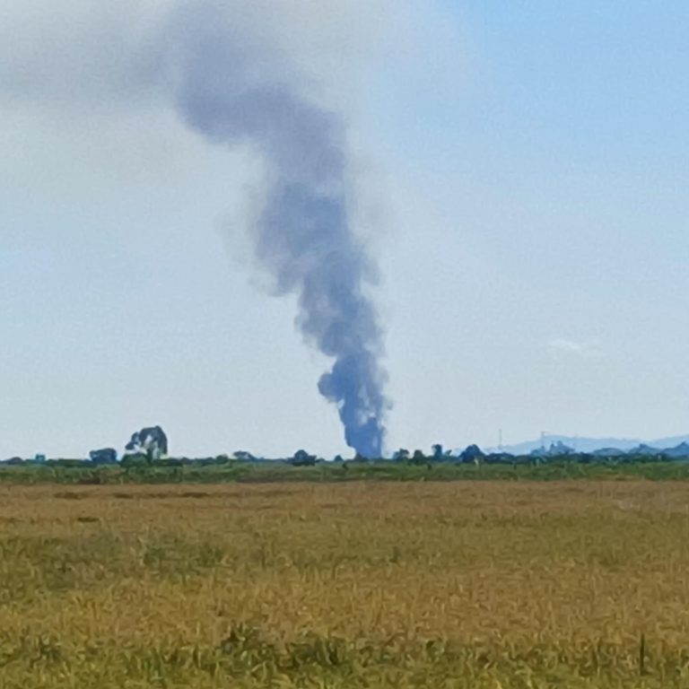 မြောက်ဦးတွင် စပါးရိတ်သိမ်းနေသည့်လယ်သမားများအား စစ်ကောင်စီဗုံးကြဲ