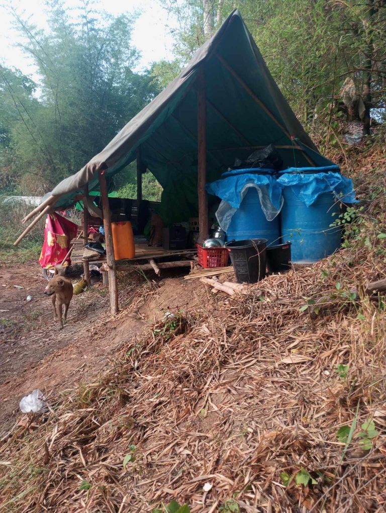 သေ့ဘောဘိုးစစ်ရှောင်များအပြင် ဒေသခံများ မြစ်ဘေးသို့ ပြောင်းရွှေ့နေရ