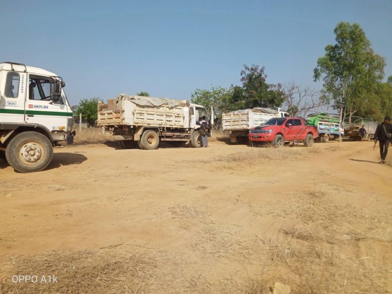 အလောင်းတော်ကဿပနယ်မြေတွင်း သစ်ခိုးထုတ်မှုပြဿနာ ပူးပေါင်းဖြေရှင်းဖို့လို