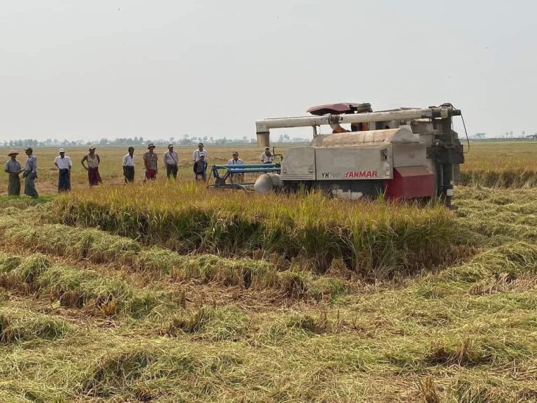 မွန်ပြည်နယ်မှာ မိုးစပါးစိုက်ပျိုးချိန် အလုပ်သမားရှားပါးမှု ကြုံနေရ