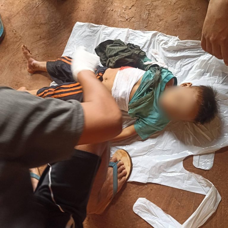 ဆီဆိုင်တွင် တောင်ယာသွားသည့် သားမိနှစ်ဦး လက်နက်ကြီးထိမှန် မိခင်ဖြစ်သူသေဆုံး