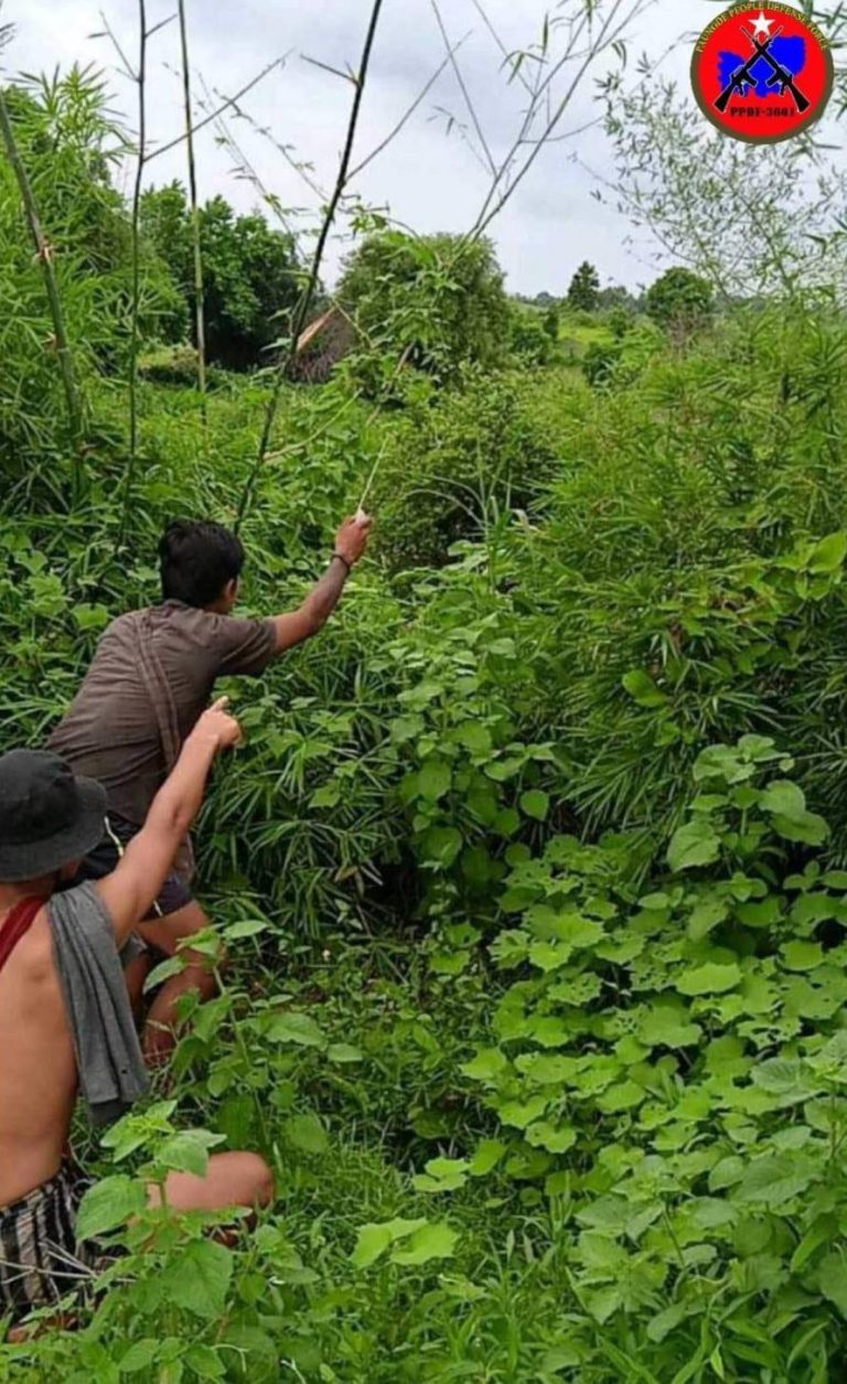 ရိက္ခာပြန်ယူသည့် ပေါင်းတည်မြို့နယ်က စစ်ကောင်စီတပ်ဖွဲ့ဝင်များ မိုင်းဆွဲတိုက်ခိုက်ခံရ