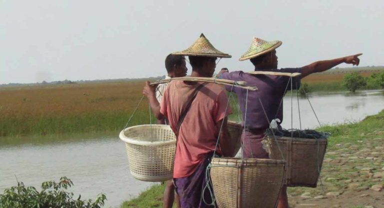 ရခိုင်လွတ်မြောက်နယ်မြေများတွင် ရခိုင်ဗီဒီယိုကားများ ရိုက်ကူး