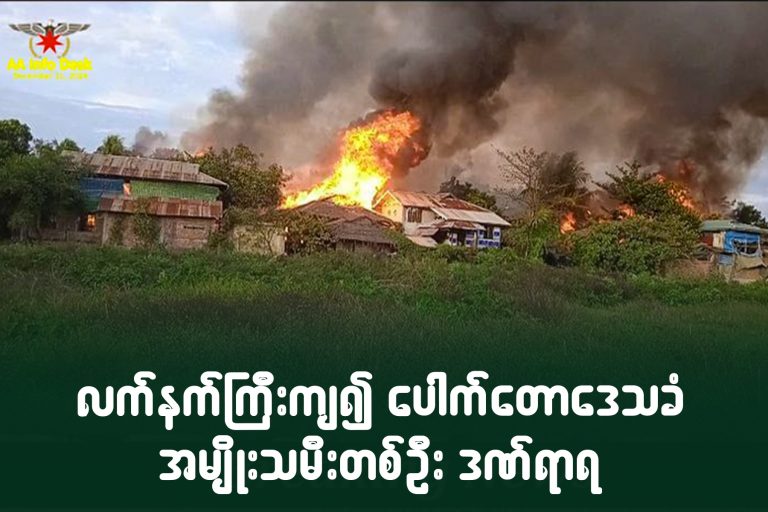 လက်နက်ကြီးကျ၍ ပေါက်တောဒေသခံအမျိုးသမီးတစ်ဦး ဒဏ်ရာရ