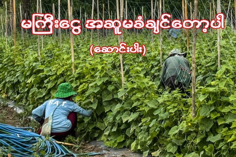 မကြီးငွေ အဆူမခံချင်တော့ပါ (ဆောင်းပါး)